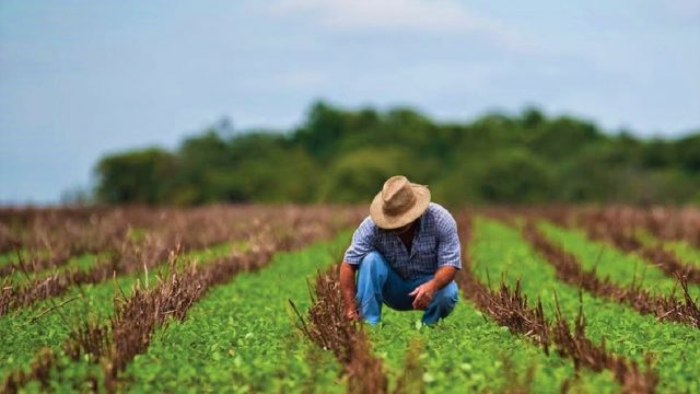 Course Image Webinar: Futuro de la agricultura en LATAM. Trazabilidad y sistemas alimentarios seguros